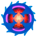 C5a