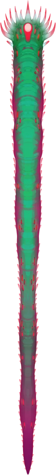 蛔虫
