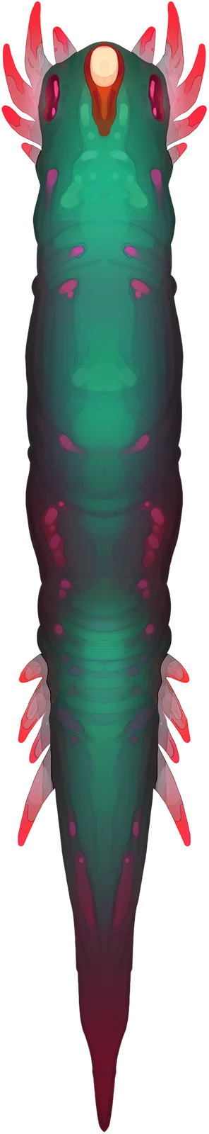 蛔虫幼虫