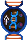 分子解构