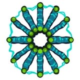 电化节点